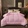 Antibacterial Class A Cotton Quilt Winter 6kg Quilt Cotton Thicken Warm Spring Autumn Comforter Single Double Winter Space Quilt