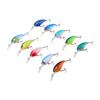 10Pcs Artificial Crankbait 3D Fishing Bait Fishing Accesories for Bass Pikes Freshwater