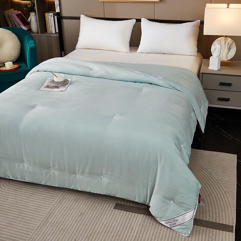 

Begeman B2330 Dream Paris Tencel Cotton Jacquard Silk Blend Quilt