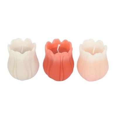 Sveces – Pārējās sveces