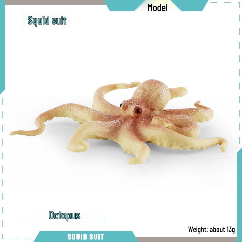 Marine Life Simulation Models: Squid, Octopus & Cuttlefish - Educational Toys for Kids