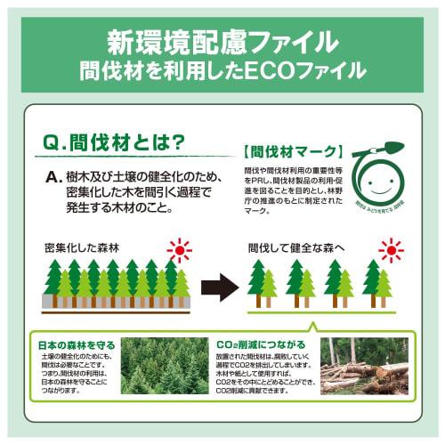 Plus Flat File A4 Vertical 2 Holes Back Width Telescopic Cenovus Thinning Wood 86-946 Green