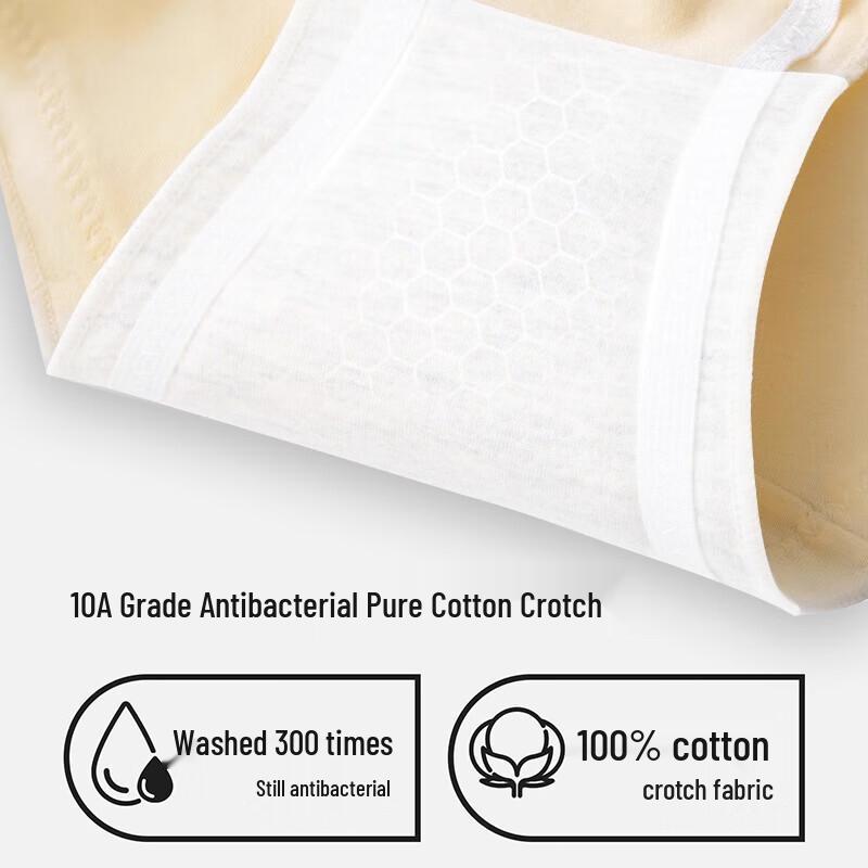 Urban Beauty Women's Lace Cotton Briefs 3-Pack