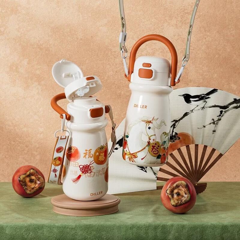 Diller Lucky Persimmon Insulated Bottle