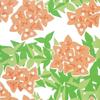 Somen Anbo Tenugui Bougainvillea Orange Hand-dyed 100% Cotton Tokuoka Made In Japan 35cm X 100cm