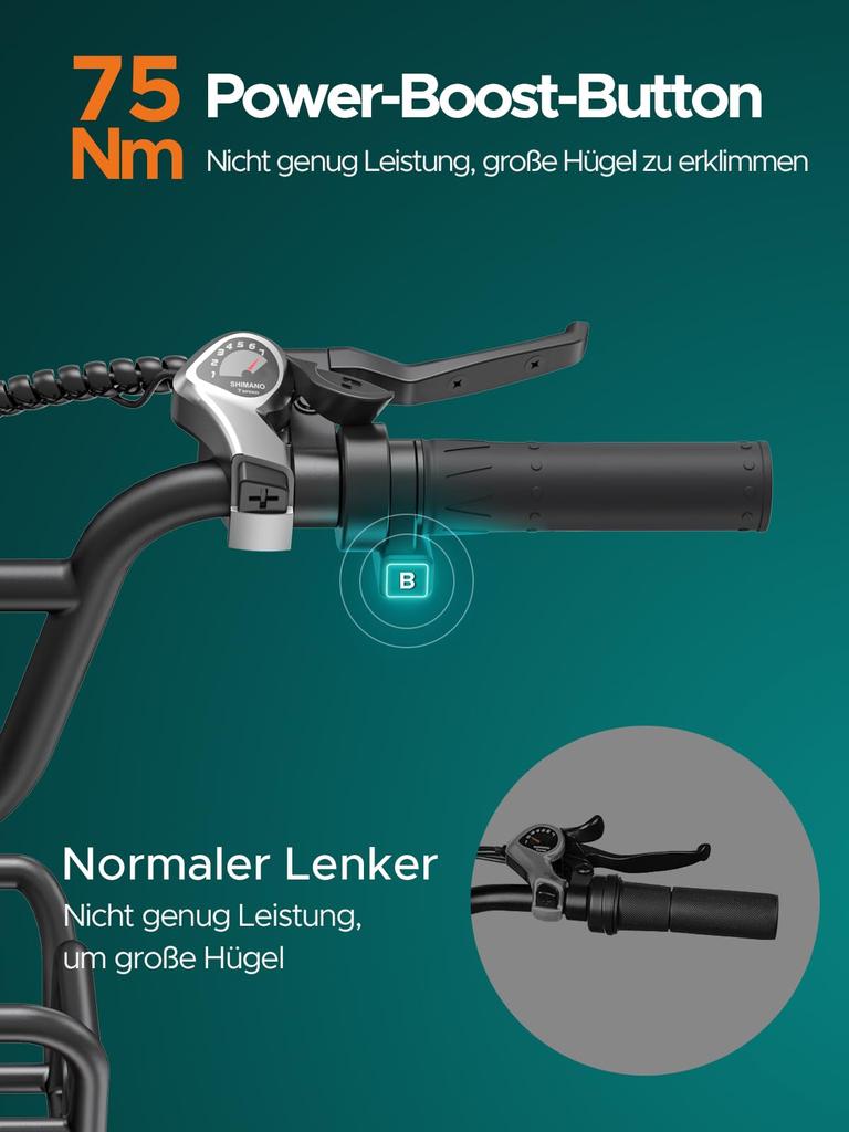 ENGWE electric bike, 250W motor, 48V 13Ah battery, 20 x 4.0 wide tires, range up to 120 km, 7 speeds, top speed 25 km/h (L20/L20 Boost mode).