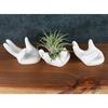 3Pcs Air Plant Holder Ceramics Airplants Holder Small Container Pots Hand Shape Office Desk Base Airplants Display Container