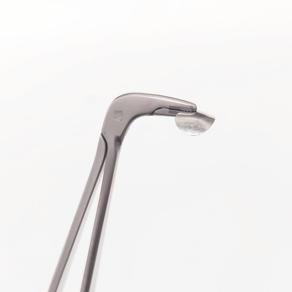 Dental Matrix Halter Forcep Dental Kieferorthopädische Matrizen Forcep Matrizen Platzierung Pinzette Spitze mit T/C oder edelstahl Zahnarzt Chirurgische Instrument