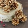 10 adet doğal suni çam kozalağı süslemeleri çevre dostu noel partileri düğün çam kozalakları DIY el sanatları için