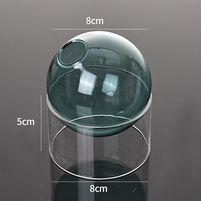 Vintage Round Glass Vase Borosilicate Mini Terrarium Stylish Water Plant Pot for Desktop Home Decor And Flower Arrangement