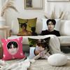 Byeon Wwooseok Piosenkarz Poszewka na Poduszkę Pop Poszewka na Poduszkę Pluszowa Tkanina Miękka Dwustronny Nadruk Sofa Domowa Poduszka Wysokiej Jakości