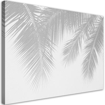 Canvas Print Gray Palm Leaves