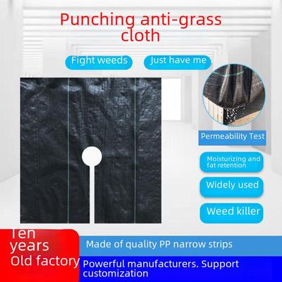 Perforated Weed Barrier Fabric: Breathable, Permeable Garden Ground Cover for Landscaping and Horticultural Use.