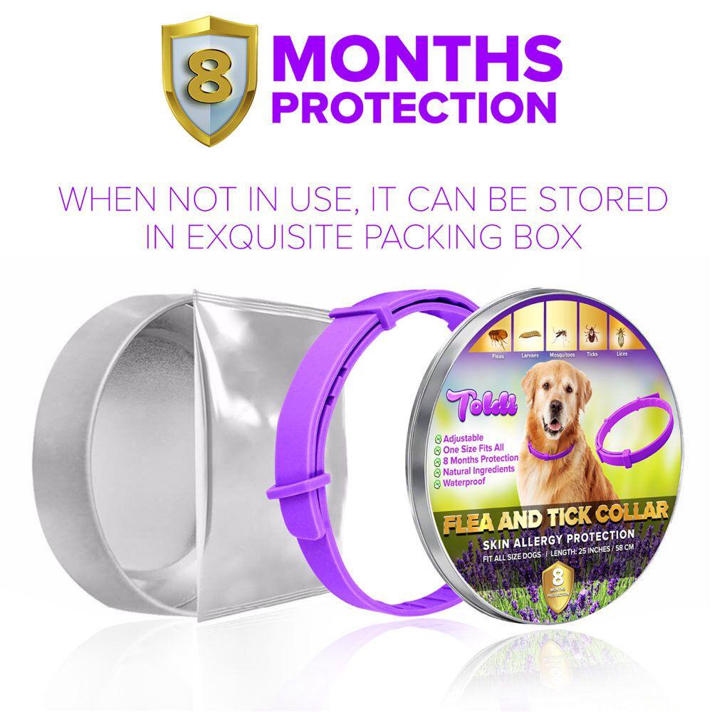 Protect Your Four-footed Friend With Our Durable Flea Collar For Dogs