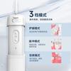 Portable Electric Water Flosser, Household Dental Irrigator, Orthodontic Teeth Cleaning Oral Care Device