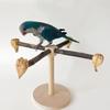 Bird Wood Perch Rotating Molar Stand for Parrots Conure Supplies Budgies Grinding Scratchers for Small Medium Parrots