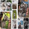 Weimaraner Dog Case For iPhone 16 14 15 Pro Max 12 13 Mini 11 15 Pro Max Plus X XS Max XR Phone Cover