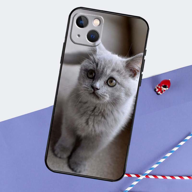 Beautiful Grey British Shorthair Cat Phone Case For iPhone 16 Pro Max 11 13 14 15 Pro Max 12 Mini XR 16 15 Plus 16e Back Cover