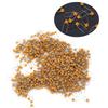 1000Pcs Ceramic Capacitor InLine Monolithic 4.7UF Pin Pitch 5.08MM DC50V Deviation 10%