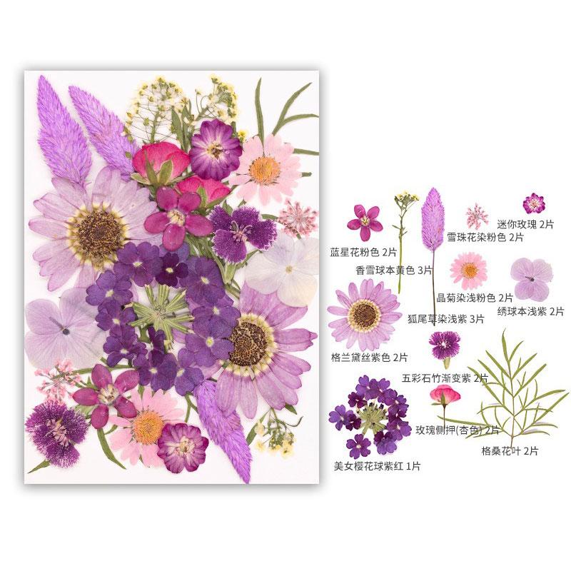 

22-25PCS Set Dried Flower Kit for Resin Crafts Natural Real Pressed Flower Leaves Jewelry Making Phone Cases & Nail Art Decor