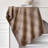 Plaid Shawl Women'S Autumn And Winter Versatile Cape High-End Sense Outer Blanket Imitation Cashmere Fringed Shawl