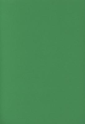 3572 PPLS Color Plain Paper, Colored Kraft Paper, A4, Extra Heavyweight, 0.2mm Thick, Single Item, Green, 100 Sheets