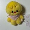 Bbok-ari 5th Fan Meeting Doll Sukiju Stray Kids