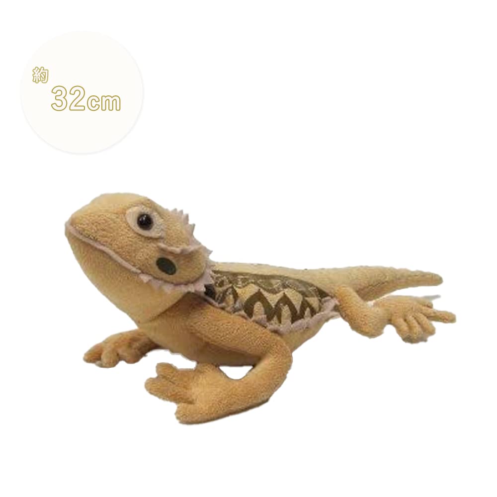 Bearded Dragon 32cm