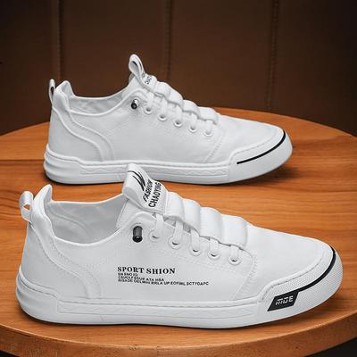 Men's Casual Shoes Ice Silk Canvas Shoes For Men Outdoor Comfortable Sneaker Non-slip Flats Loafers Zapatillas Hombre2024