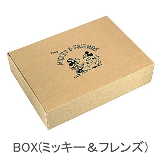 Maehata Mickey Friends Pair Plate Bowl 50351 & &