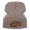 Knitted Hat Autumn And Winter Warm Men'S And Women'S Outdoor Wool Hat Doudou Hat Casual Versatile Capybara Hat