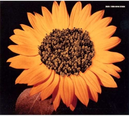 

CD ZIGZO - sunflower CODA50140PROMO TRIAD 1999 Japan ObiRock Used