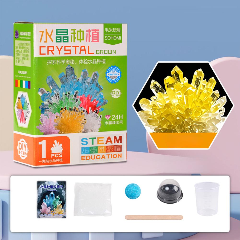Crystal Planting DIY Scientific Experiment Set Chemical Experiment Educational Toy Handmade Toys Gift for Children Kid