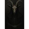 Dark Gothic Halloween Canvas Gallery Wall Print Witch Ghost Doctor Goat Skull Wall Art Vintage Moody Spooky Home Decor Gift