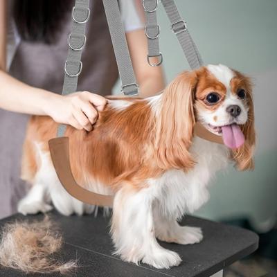 Lot de 3 sangles de toilettage pour animaux de compagnie, sangles ventrales, rallonges de bras de table, pour animaux de compagnie