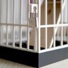 Cell Phone Jail With Timer Creative Cell Prison Lock For Party Home Table Office Cell Phone Cage Prison Cell Phone Storage Box
