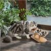 Wooden Pet Bowl Rack Anti Knock Pet Food Bowl with 3 Stainless Steel Bowls Adjustable and Detachable Suitable for Cats and Dogs