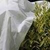 White Winter Plant Protection Cover Non-woven Fabric Garden Warm Protection Cloth  Farm Supplies