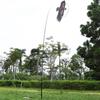 7m Bird Pest Scarer Repeller Kite Bird Repeller Kite for Farmer Crops Protecting