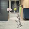 Retractable Cat Teaser: Feather Door Hanging Toy for Self-Play & Boredom Relief