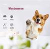 Vest-Style Harness and Leash for Small Dogs and Cats - Ideal for Pomeranians, Bichons, and Teddy Breeds