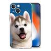 Handyhülle Für iPhone 17 Hüllen iPhone Air 16 15 12 13 14 Pro Max 7 8 Plus 16Pro iPhone11 Weiche Hülle Alaskan Husky Hund
