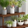Mushroom Plant Watering Stakes 4X Automatic Plant Waterers For Vacations Watering Planter Insert Irrigation Dripper Holiday