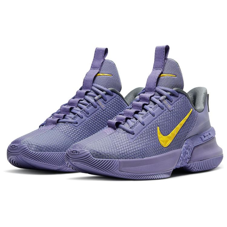 Nike Ambassador 13 'Lakers' CQ9329-500