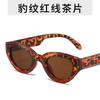 Fashion Unique Hip Hop Cat Eye Sunglasses Y2k Women Men Retro Oval Sun Glasses Ladies Beach Outdoor Popular Brand Design Eyewear