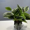 Creative 14 Leaves Artificial Plant Evergreen Photo Props Scene Making Greenery Leaves Green Plant Wall Home Decoration