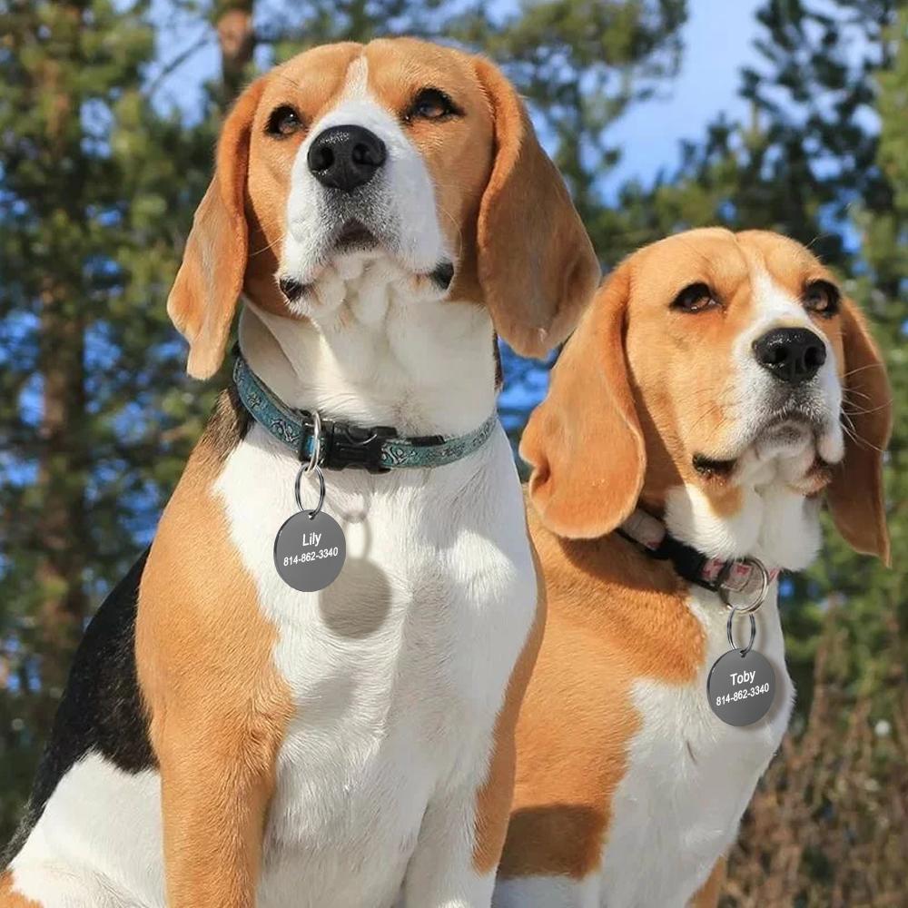Edelstahl Hund ID-Marke Personalisierte Hundename-Tags Benutzerdefinierte Gravur Anti-Verlust Namensschild Für Kleine Hunde Katzen Haustier Zubehör