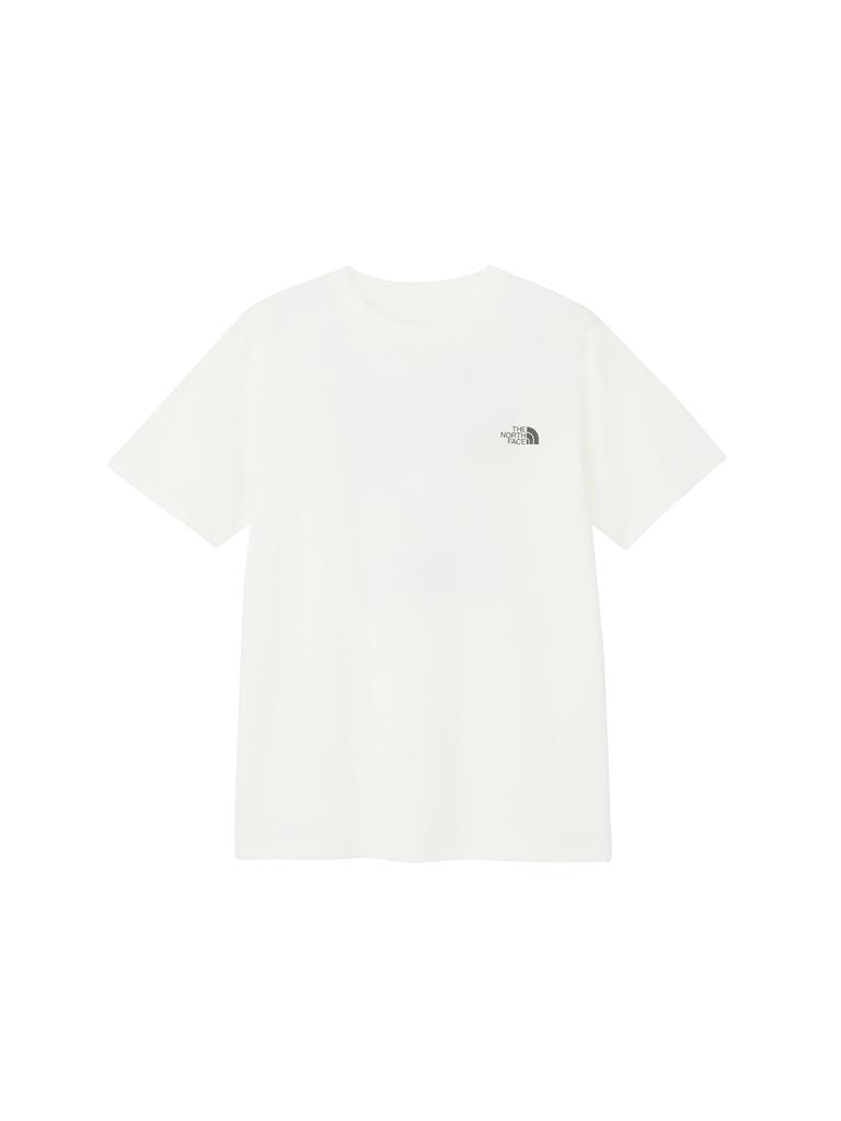 The North Face Short Sleeve Cut and Sew Half Dome Topo Grayish L T-Shirt, Tee, Men's, White,