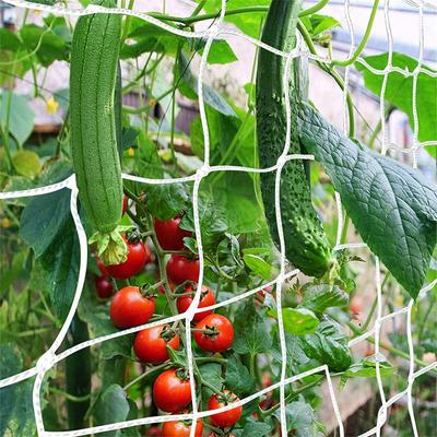 1 Packung Spaliernetz, strapazierfähiges Spaliernetz für Gartenpflanzen zum Klettern von Pflanzen, Pflanznetz für Bohnen und Tomaten im Innen- und Außenbereich