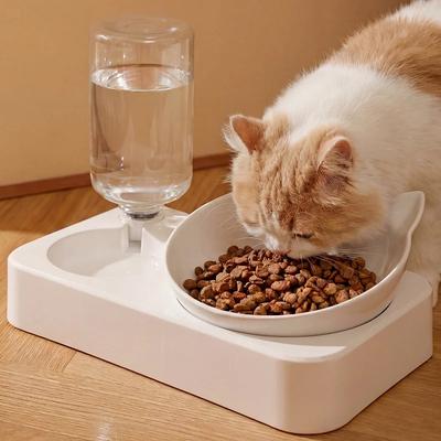 Gatos – Louça para gatos